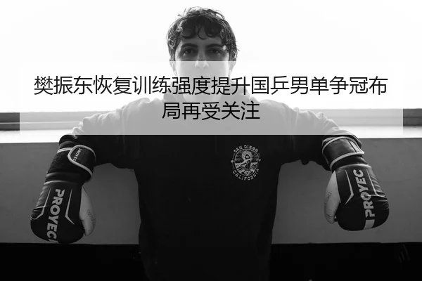樊振东恢复训练强度提升国乒男单争冠布局再受关注 | kaiyun